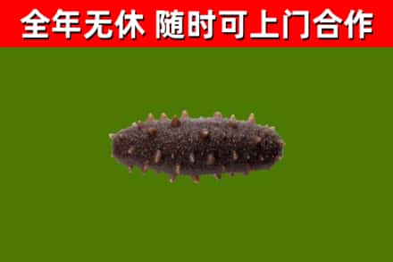 古丈县烟酒回收干海参.jpg